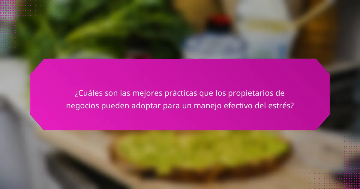 ¿Cuáles son las mejores prácticas que los propietarios de negocios pueden adoptar para un manejo efectivo del estrés?