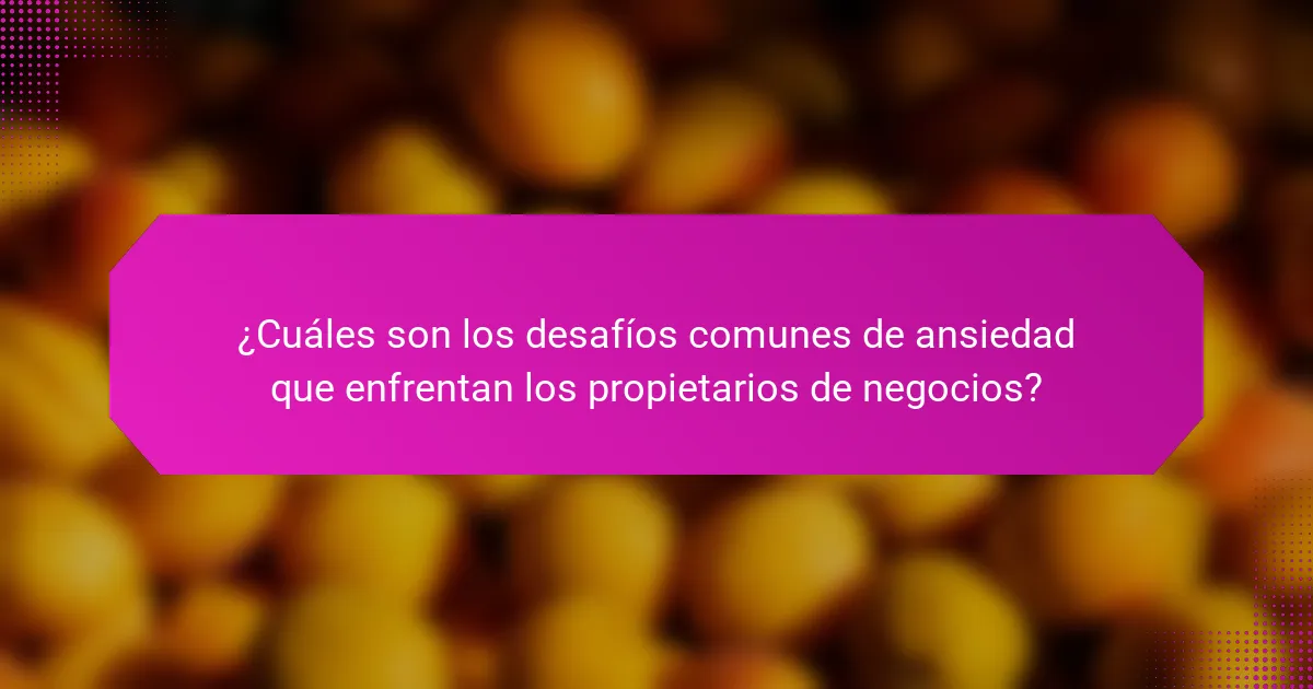 ¿Cuáles son los desafíos comunes de ansiedad que enfrentan los propietarios de negocios?