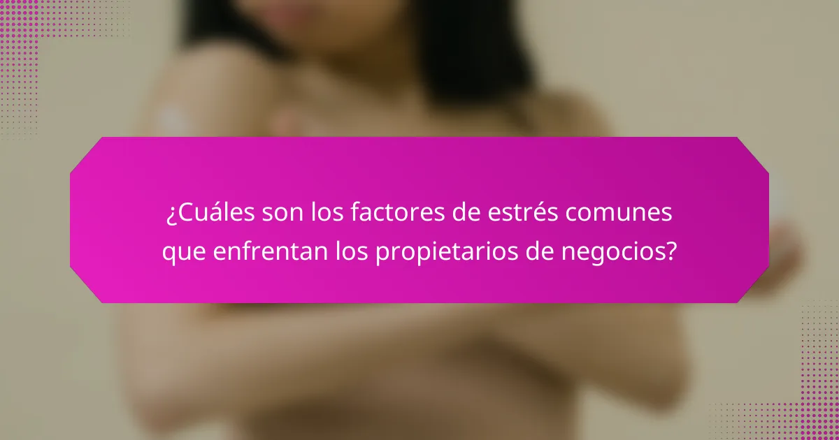 ¿Cuáles son los factores de estrés comunes que enfrentan los propietarios de negocios?