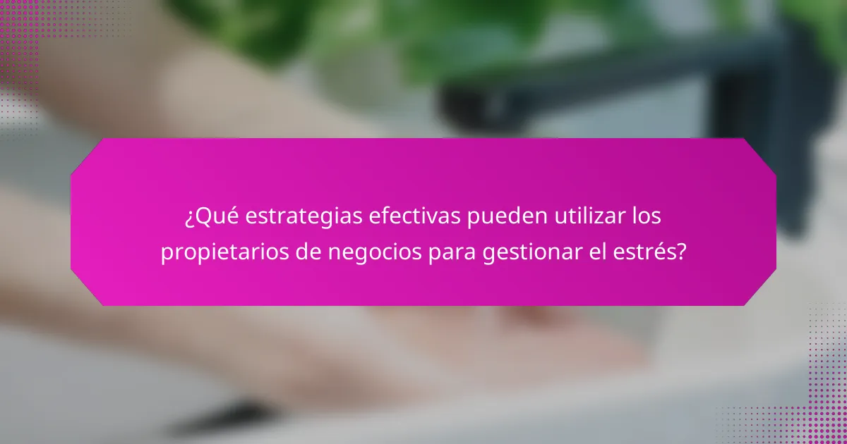 ¿Qué estrategias efectivas pueden utilizar los propietarios de negocios para gestionar el estrés?
