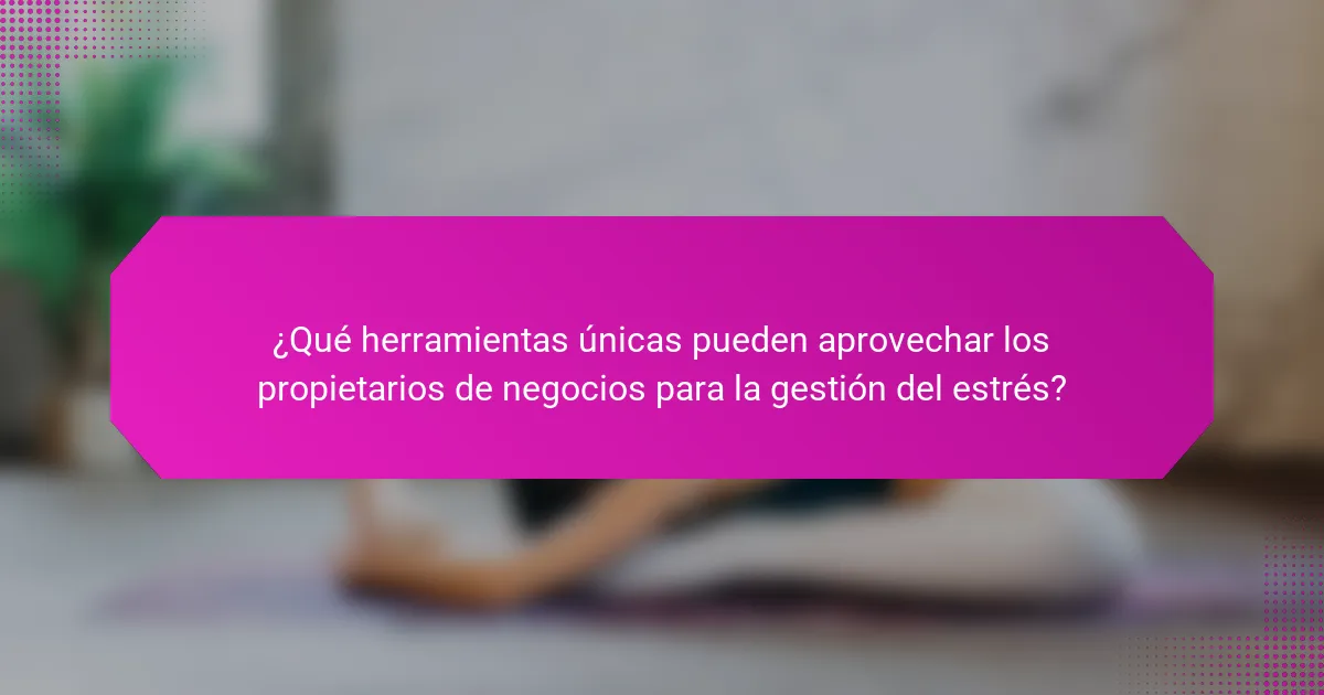 ¿Qué herramientas únicas pueden aprovechar los propietarios de negocios para la gestión del estrés?
