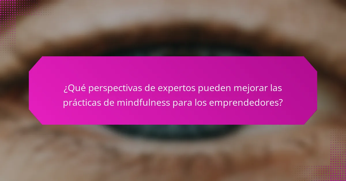 ¿Qué perspectivas de expertos pueden mejorar las prácticas de mindfulness para los emprendedores?