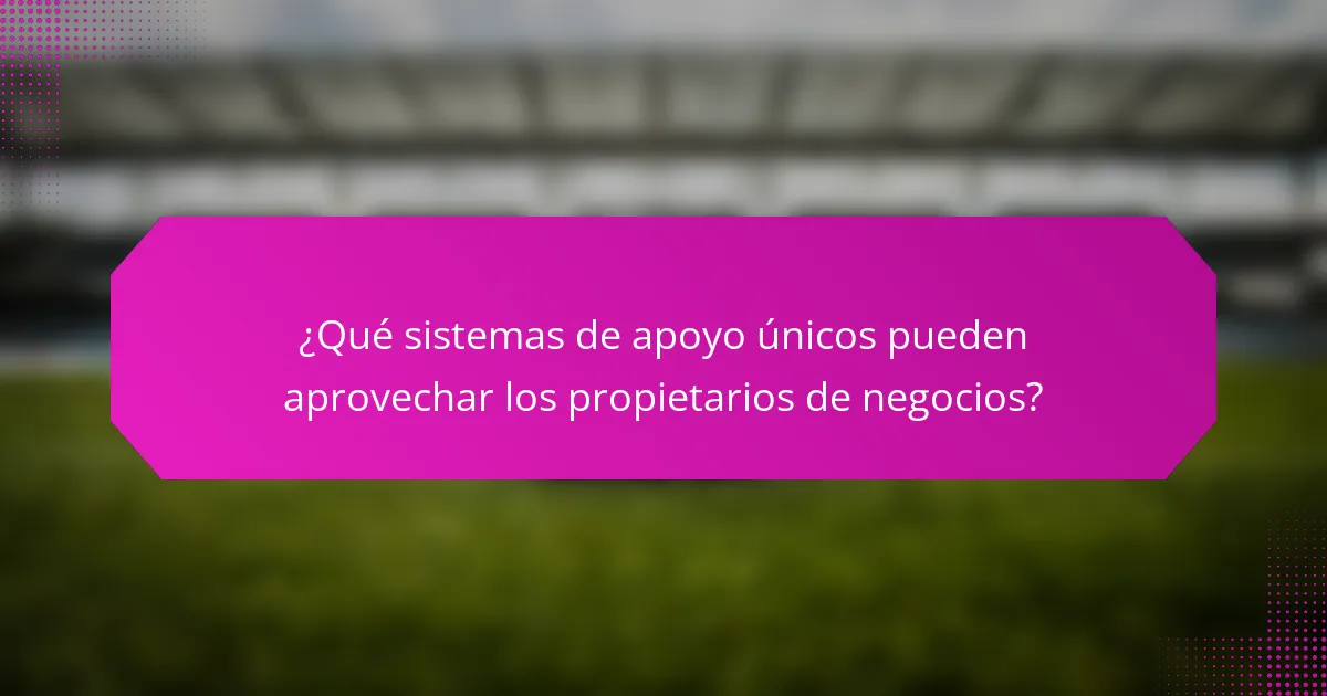 ¿Qué sistemas de apoyo únicos pueden aprovechar los propietarios de negocios?