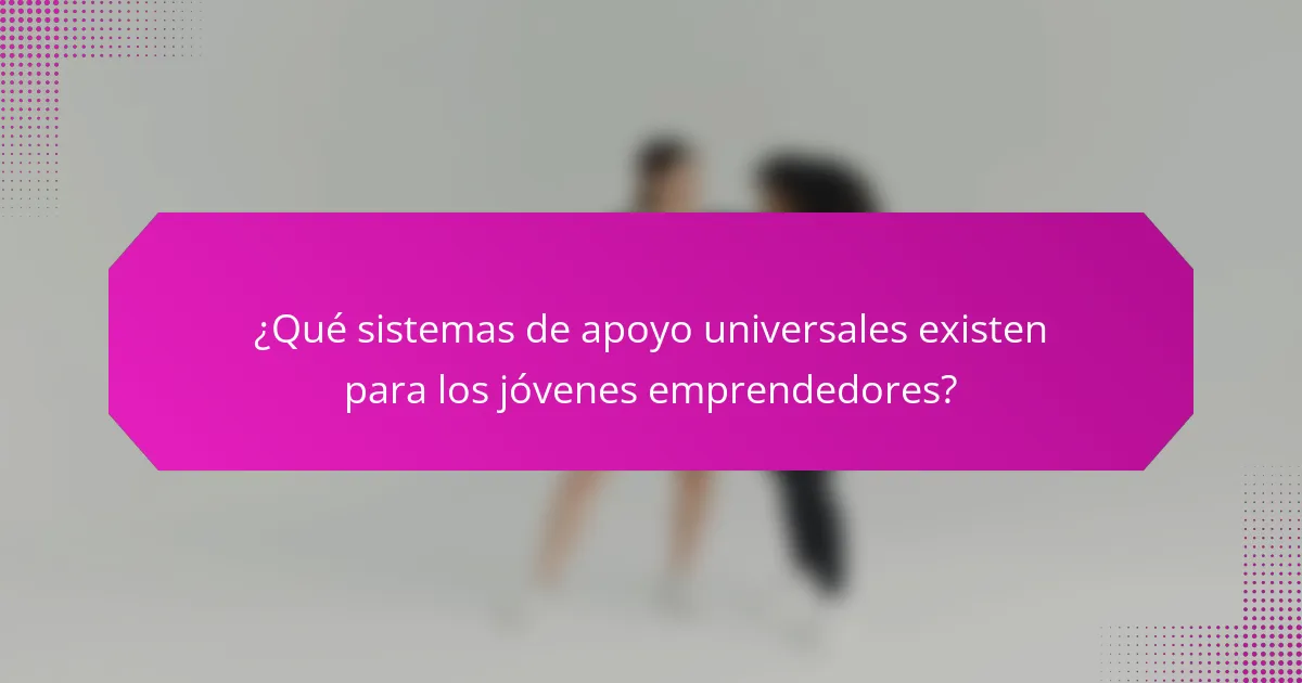 ¿Qué sistemas de apoyo universales existen para los jóvenes emprendedores?